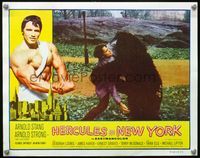 5z334 HERCULES IN NEW YORK LC '70 close up of Arnold Schwarzenegger fighting bear in Central Park!