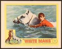 5z597 WHITE MANE LC '53 boy and wild horse, from the director of The Red Balloon!