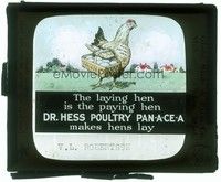 6b169 DR. HESS POULTRY PAN-A-CE-A glass slide '20s great art of a hen who lays lots of eggs!