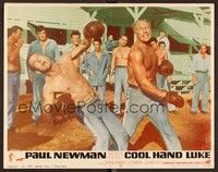 6d234 COOL HAND LUKE LC #1 '67 c/u of George Kennedy knocking out Paul Newman in boxing match!