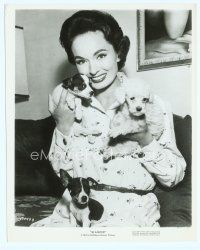 6m022 ANN BLYTH 8x10 still '57 smiling close up of the actress with three puppies from Slander!