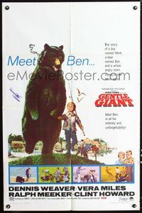 6p382 GENTLE GIANT 1sh '67 great full-length art of Dennis Weaver with big grizzly bear!