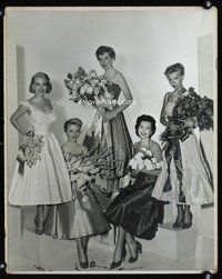 6r175 5 HOLLYWOOD STARLETS FROM 1950s special 16x20 still '50s sexy Deborah Kerr & Ann Miller + 3!