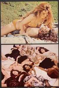 6r148 BEYOND THE VALLEY OF THE DOLLS 13 color jumbo stills '70 Russ Meyer's girls who are old at 20