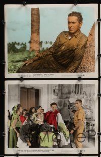 6v056 AMERICAN GUERRILLA IN THE PHILIPPINES 15 color 8x10 stills '50 Tyrone Power, Fritz Lang