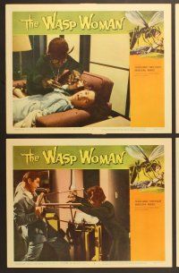 6x529 WASP WOMAN 7 LCs '59 great images of Susan Cabot as Roger Corman's lusting insect queen!