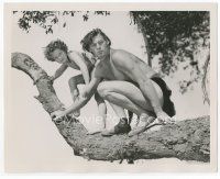 7b507 TARZAN FINDS A SON deluxe 8x10 still '39 close up of Johnny Weissmuller & Sheffield in tree!