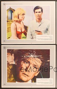 7g074 CHAMPAGNE MURDERS 8 LCs '67 Claude Chabrol's Le Scandale, Anthony Perkins & sexy Furneaux!