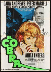 7h024 COBRA style B Italian 2p '67 art of Dana Andrews, Peter Martell & sexy Anita Ekberg!