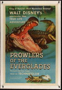 7k302 PROWLERS OF THE EVERGLADES linen 1sh '53 Disne's spectacular True Life alligator adventure!