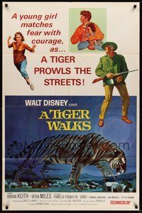 7r863 TIGER WALKS style A 1sh '64 Walt Disney, art of Brian Keith standing by huge prowling tiger!