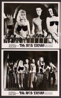 7t855 ACID EATERS 3 8x10 stills '67 Pat Barrington, LSD, sexy girls!