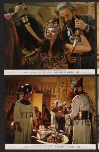 7t011 BLOOD FROM THE MUMMY'S TOMB 8 color English FOH LCs '72 AIP, Andrew Keir, Valerie Leon!
