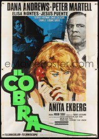 8p198 COBRA style B Italian 2p '67 Dana Andrews, Peter Martell, art of sexy Anita Ekberg!