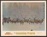 8t457 LIVING DESERT/VANISHING PRAIRIE LC '71 Disney wildlife documentary, lots of elk in snow!