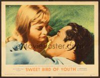 8t696 SWEET BIRD OF YOUTH LC #2 '62 c/u of Paul Newman & Shirley Knight, Tennessee Williams