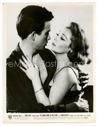8w586 ROMAN SPRING OF MRS. STONE 8x10 still '61 c/u of Warren Beatty about to kiss Vivien Leigh!