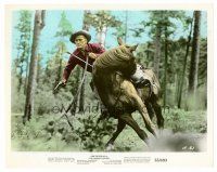 8w032 INDIAN FIGHTER color 8x10 still '55 c/u of Kirk Douglas falling from his injured horse!