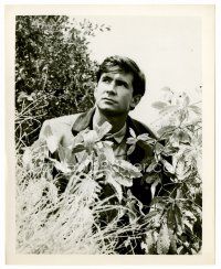 8x020 ANTHONY PERKINS 8x10 still '68 close up searching for something outdoors from Pretty Poison!