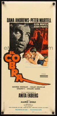 8y689 COBRA Italian locandina '67 Dana Andrews, Peter Martell, super sexy Anita Ekberg, Geleng art