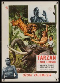 8y794 TARZAN & THE LEOPARD WOMAN Yugoslavian '60s art of Johnny Weissmuller fighting lion!