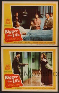 9c517 BIGGER THAN LIFE 5 LCs '56 Nicholas Ray, James Mason, Barbara Rush!