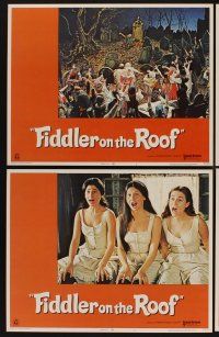 9c141 FIDDLER ON THE ROOF 8 LCs '72 Topol, Norma Crane, Leonard Frey, directed by Norman Jewison!