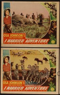 9c592 I MARRIED ADVENTURE 4 LCs '40 Osa Johnson finds cannibals in Africa, it really happened!