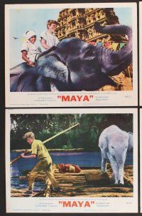 9c236 MAYA 8 LCs '66 John Berry directed, Clint Walker & Jay North, cool elephant images!