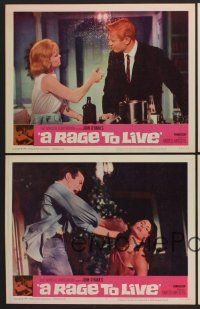 9c499 RAGE TO LIVE 6 LCs '65 Suzanne Pleshette, Peter Graves, from John O'Hara's novel!