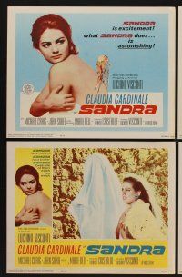 9c315 SANDRA 8 LCs '66 Luchino Visconti's Vaghe stelle dell'Orsa, sexy Claudia Cardinale!