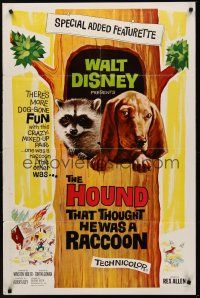 9e502 HOUND THAT THOUGHT HE WAS A RACCOON 1sh '60 Disney, wacky art of animals in tree!