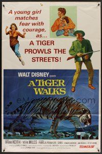 9e902 TIGER WALKS style A 1sh '64 Disney, Brian Keith, Vera Miles, great tiger artwork!