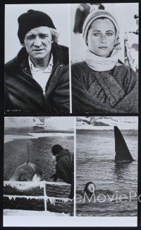 9f644 ORCA 12 8x10 stills '77 Richard Harris, Charlotte Rampling, Will Sampson, Robert Carradine