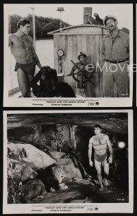 9f980 TARZAN & THE GREAT RIVER 3 8x10 stills '67 Mike Henry in the title role as King of the Jungle