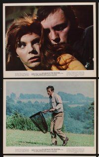 9f182 COLLECTOR 11 color 8x10 stills '65 Terence Stamp & Samantha Eggar, William Wyler