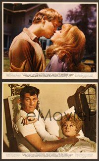 9f461 MAD ROOM 4 color 8x10 stills '69 Stella Stevens, Shelley Winters, suspense horror!