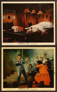 9f149 PEPE 15 color 8x10 stills '60 Cantinflas & lots of famous guest stars!