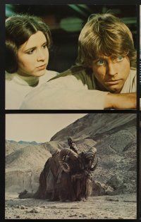 9f388 STAR WARS 8 color 8x10 stills '77 Mark Hamill, Harrison Ford, Carrie Fisher & Chewbacca!