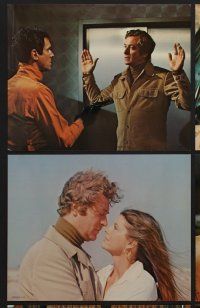 9f391 SWARM 8 color 8x10 stills '78 Michael Caine, Katharine Ross, Richard Widmark, Henry Fonda