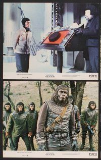 9f233 BATTLE FOR THE PLANET OF THE APES 8 8x10 mini LCs '73 Roddy McDowall, Claude Akins