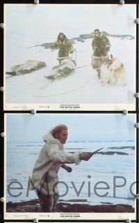 9f408 WHITE DAWN 8 8x10 mini LCs '74 Warren Oates, Timothy Bottoms & Lou Gossett in Arctic Canada!