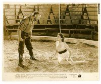 9j110 CHAD HANNA 8x10 still '40 young Linda Darnell laying in circus sawdust by angry man!