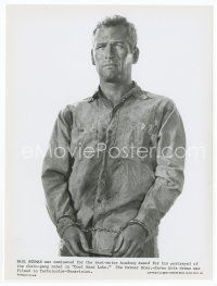 9j139 COOL HAND LUKE 7.5x10 still '67 great standing portrait of chained Paul Newman!