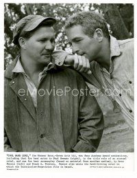 9j144 COOL HAND LUKE candid 7.5x10 still '67 Paul Newman on set with author Don Pierce!
