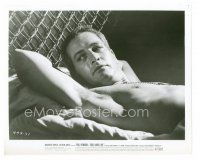 9j140 COOL HAND LUKE 8x10 still '67 best close up of barechested Paul Newman in bed!