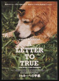 9m796 LETTER TO TRUE Japanese 7.25x10.25 '05 Bruce Weber, cute image of dog w/butterfly!