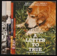 9m530 LETTER TO TRUE Japanese 5x5 '05 Bruce Weber, cute image of dog w/butterfly!