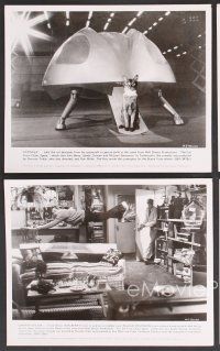 9p626 CAT FROM OUTER SPACE 5 8x10 stills '78 Walt Disney sci-fi, alien feline, Harry Morgan!
