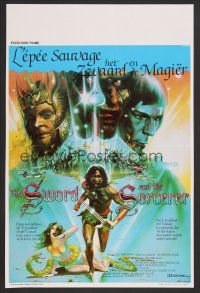 9t743 SWORD & THE SORCERER Belgian '82 magic, dungeons, dragons, fantasy art by Peter Andrew J.!